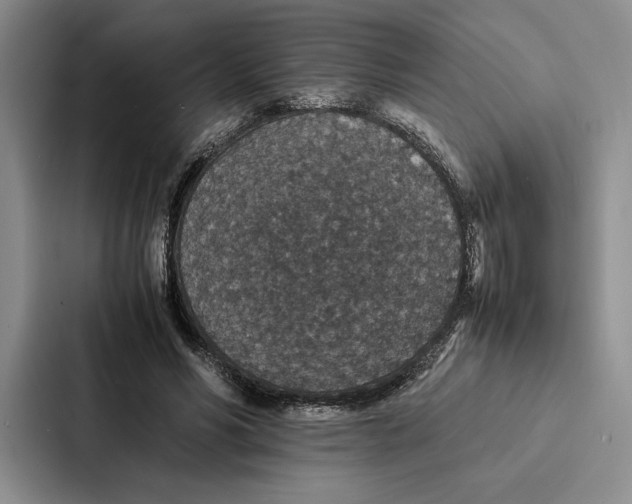 X0000086890590200705141624