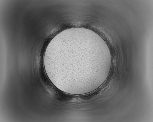 X0000086890591200705141624