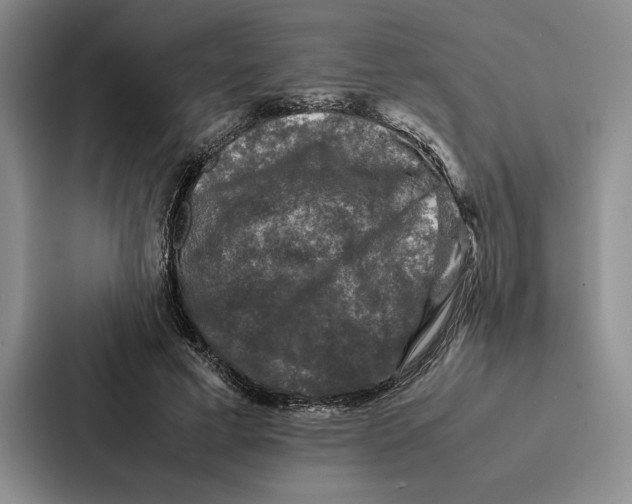 X0000086890593200705141624