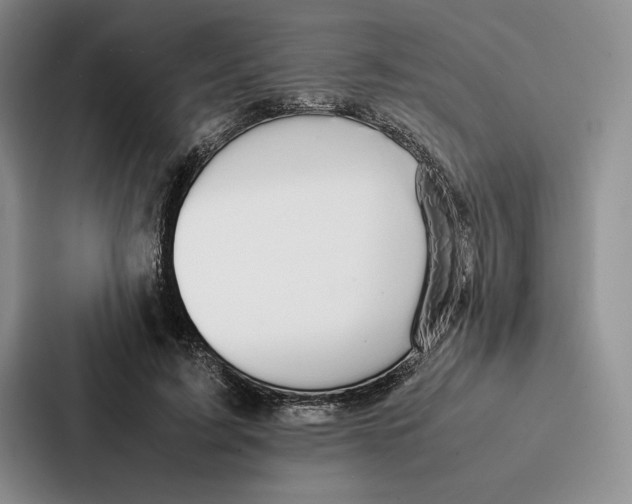 X0000086890595200705141624