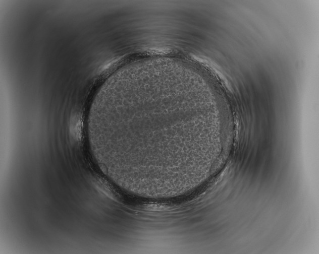 X0000086890596200705141624