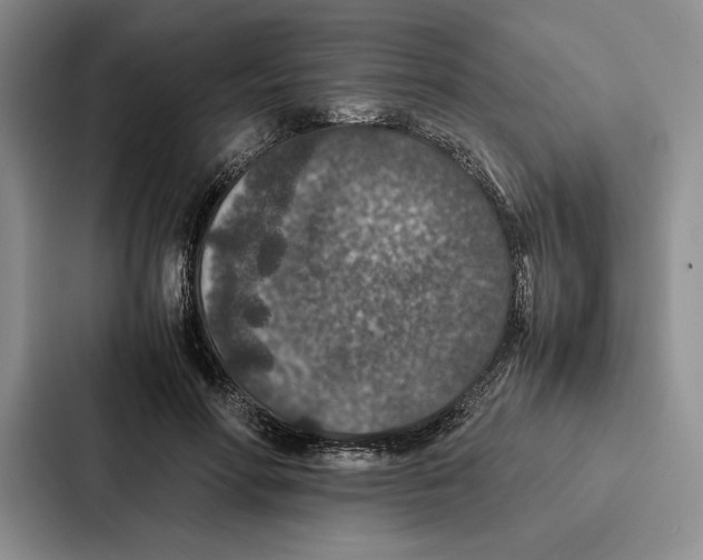 X0000086890598200705141624