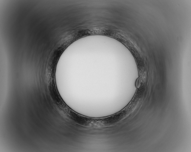 X0000086890599200705141624