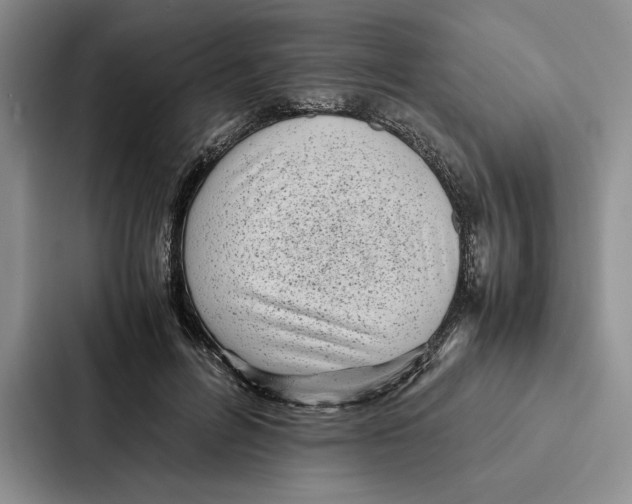 X0000086890600200705141624