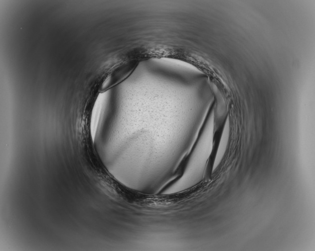 X0000086890601200705141624