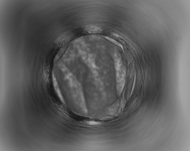 X0000086890604200705141624