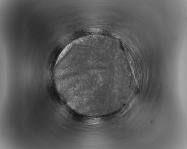 X0000086890609200705141624