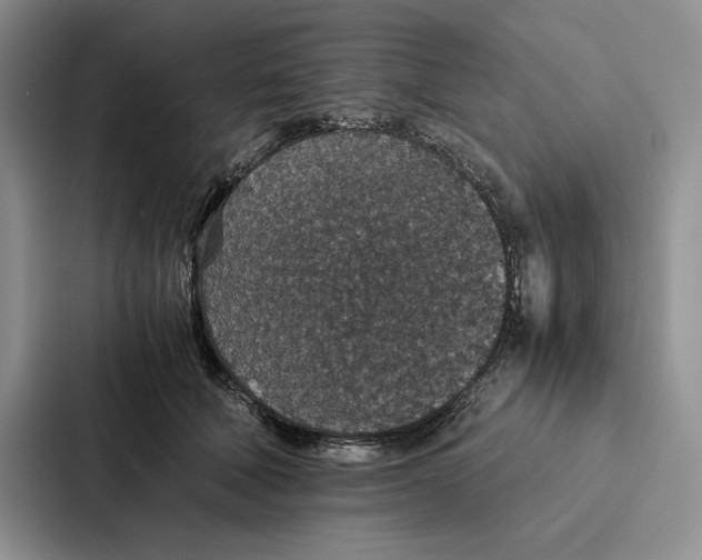 X0000086890610200705141624