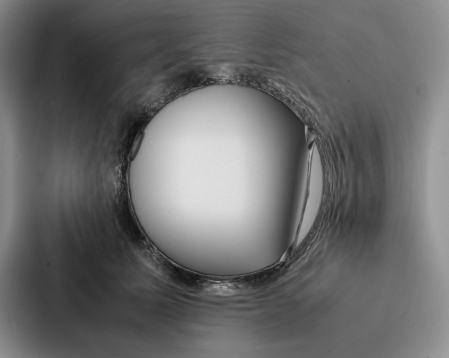 X0000086890611200705141624