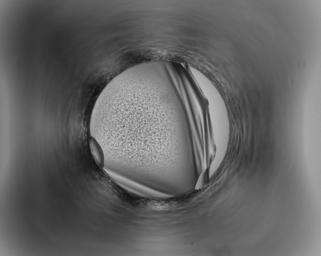 X0000086890613200705141624