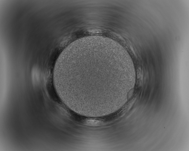 X0000086890614200705141624