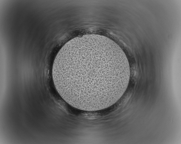 X0000086890615200705141624