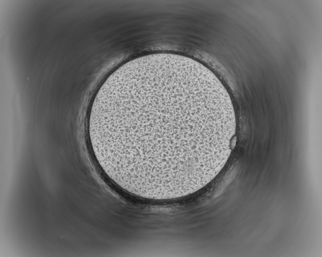 X0000086890625200705141623