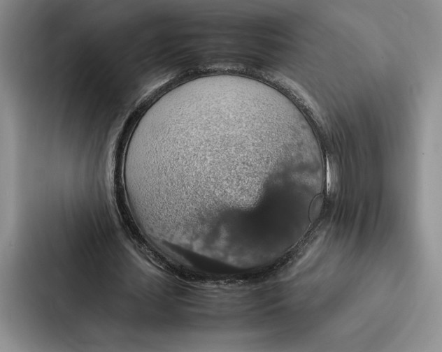 X0000086890627200705141623