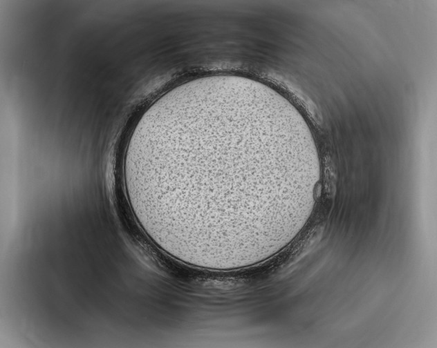 X0000086890631200705141623