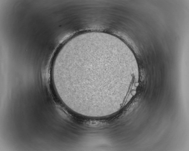 X0000086890632200705141623