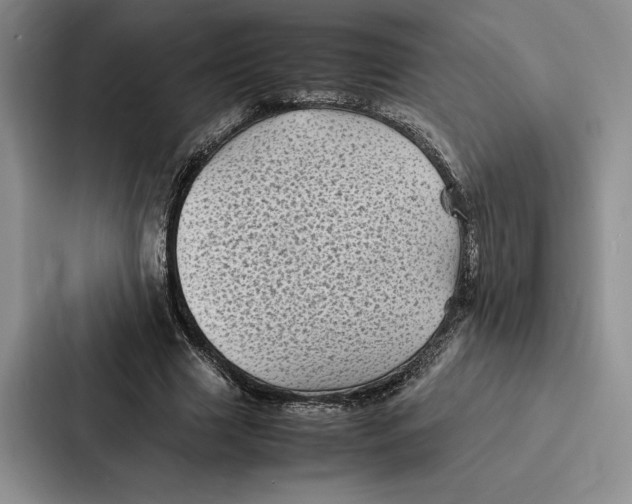 X0000086890633200705141623