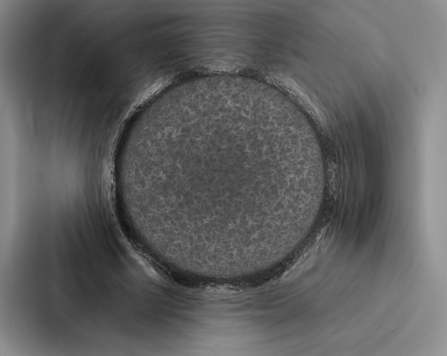 X0000086890634200705141623