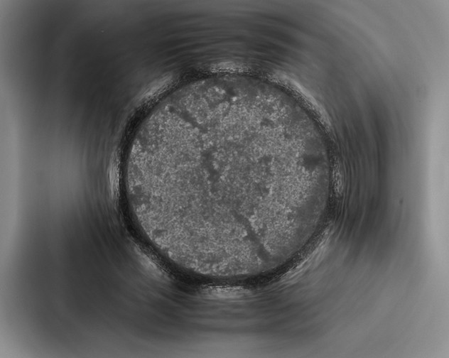 X0000086890637200705141623