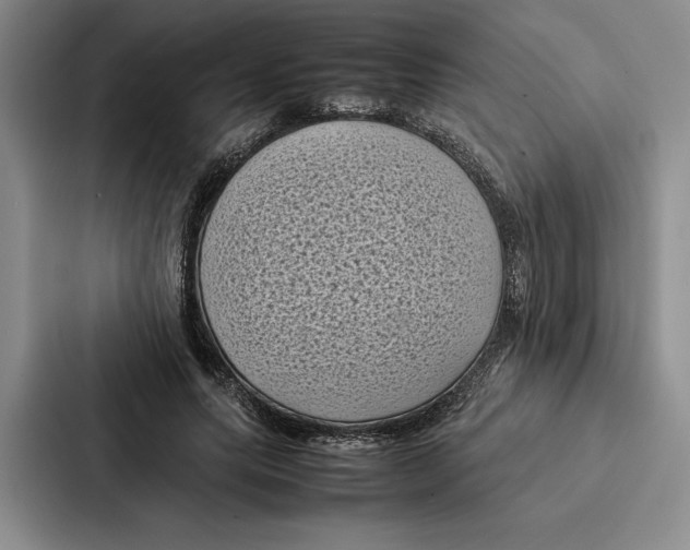 X0000086890639200705141623