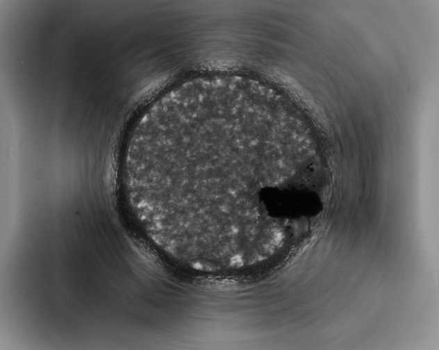 X0000086890640200705141623