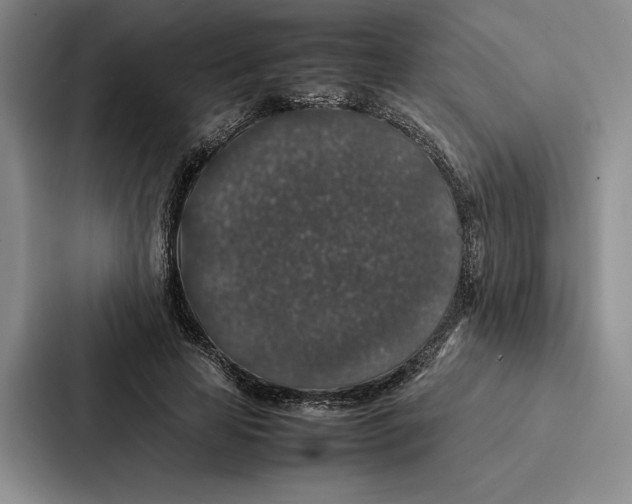 X0000086890641200705141623