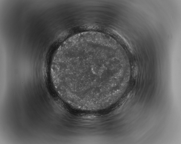 X0000086890643200705141623