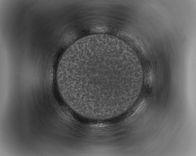 X0000086890647200705141623