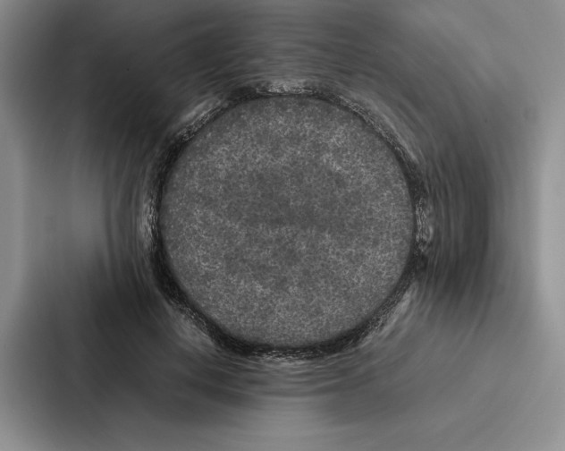 X0000086890648200705141623