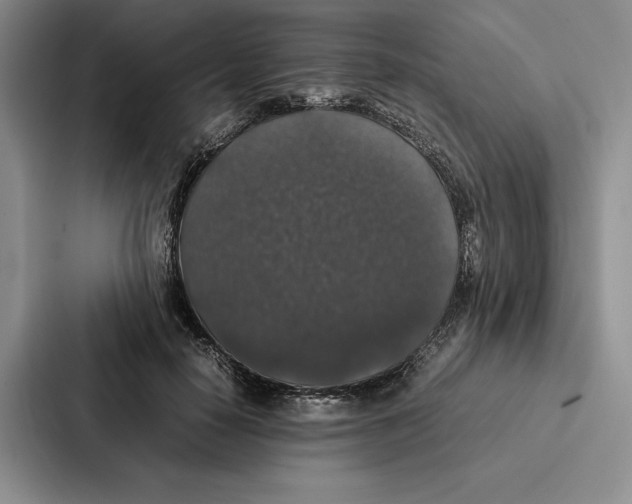 X0000086890650200705141623