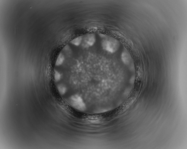 X0000086890659200705141623