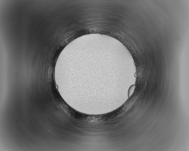 X0000086890660200705141623