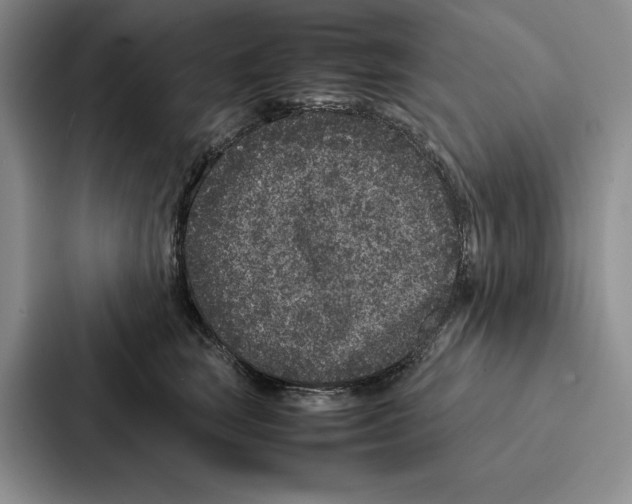 X0000086890663200705141624