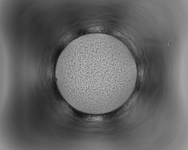 X0000086890665200705141624