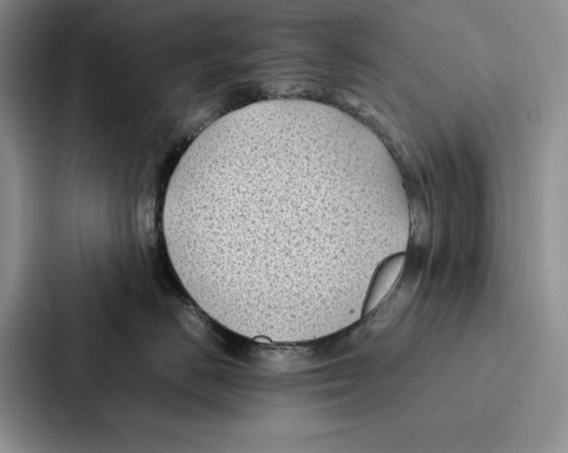 X0000086890670200705141624