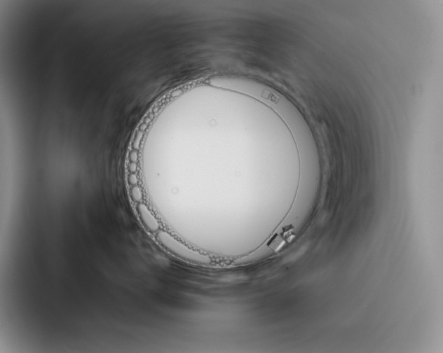 X0000086890672200705141624