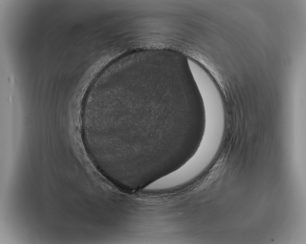 X0000086890673200705141623