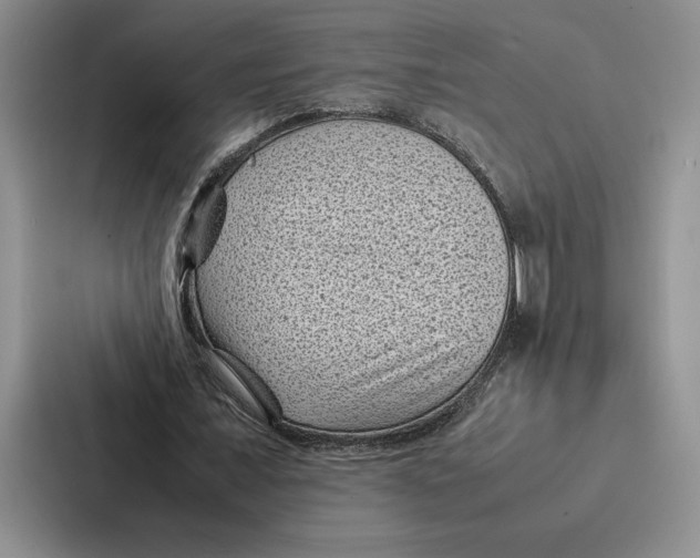 X0000086890675200705141623