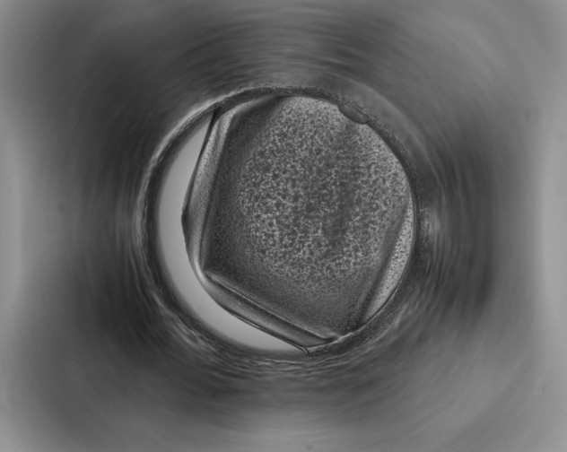 X0000086890676200705141623