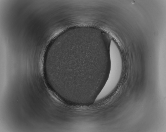 X0000086890677200705141623