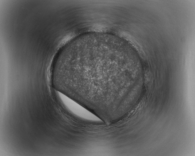 X0000086890679200705141623