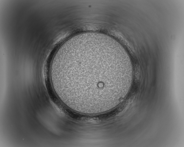 X0000086890683200705141623