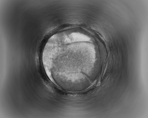 X0000086890688200705141623