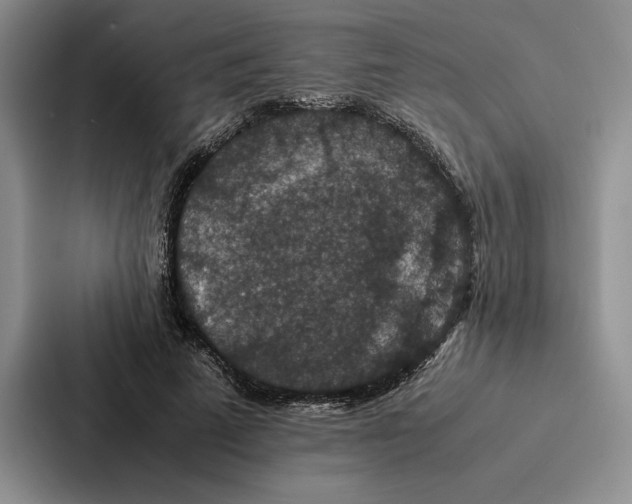 X0000086890689200705141623