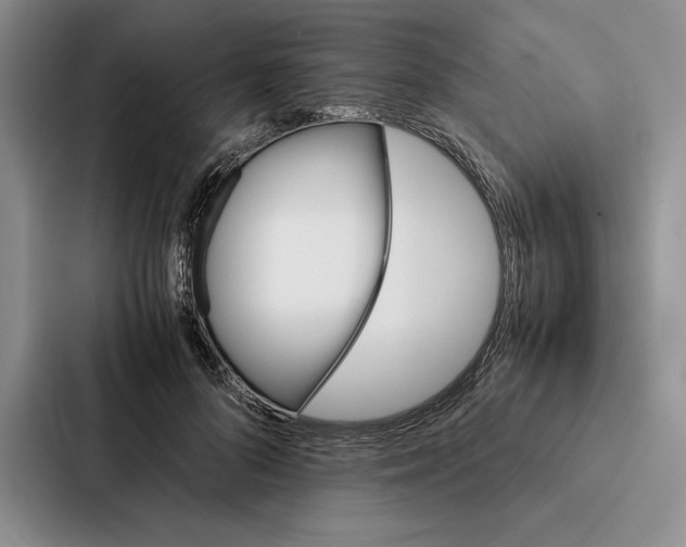 X0000086890696200705141623