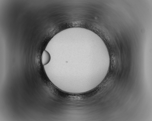 X0000086890698200705141623