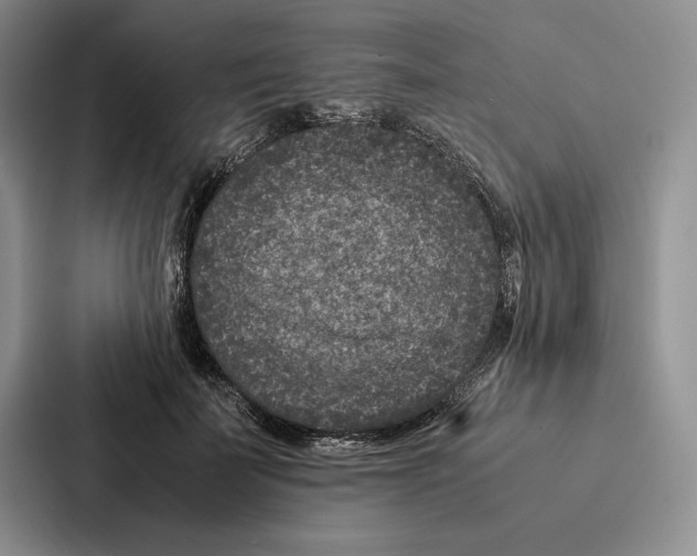 X0000086890699200705141623