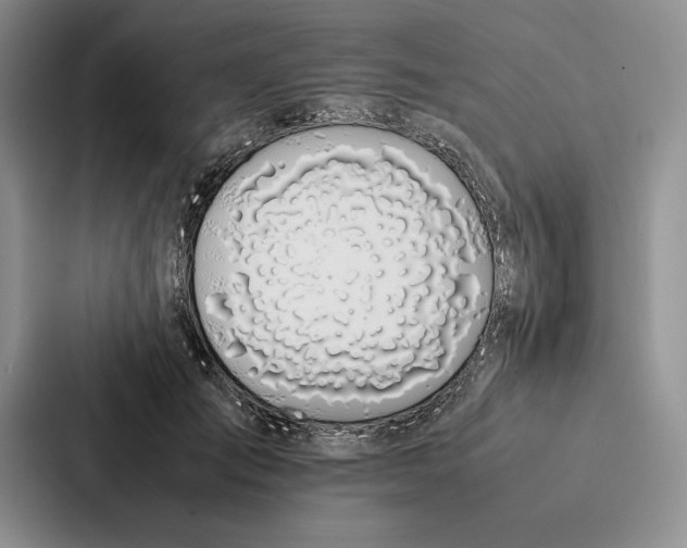 X0000086890701200705141623