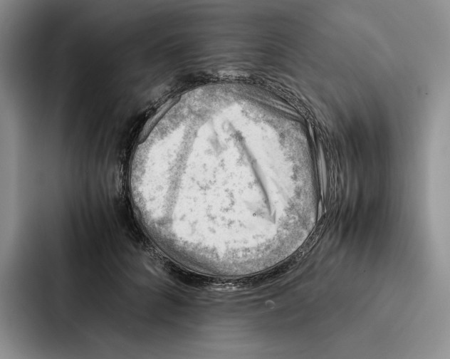 X0000086890704200705141623