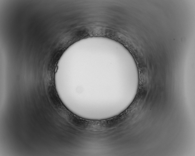 X0000086890709200705141623